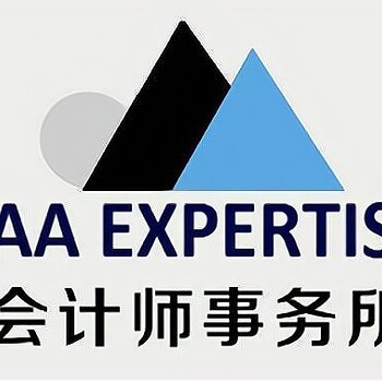 中国审计徽标图片图片